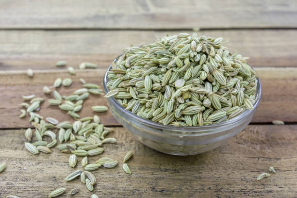 Common Organic Fennel Seeds